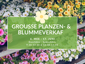 Blumen- und Pflanzenverkauf vom 6. Mai bis zum 17. Juni 2023🌸🌱🌺