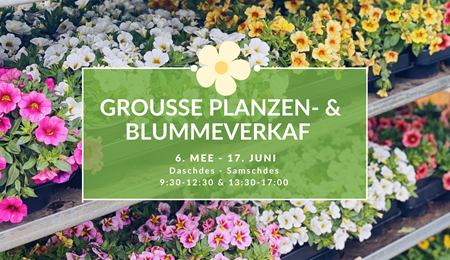 Grande vente de plantes du 6 mai au 17 juin 2023🌸🌱🌺