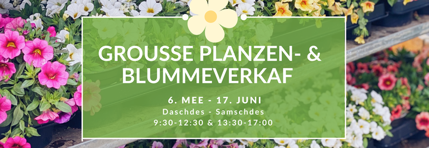 Blumen- und Pflanzenverkauf vom 6. Mai bis zum 17. Juni 2023🌸🌱🌺