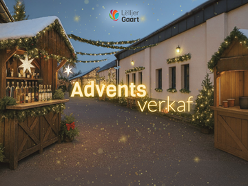 Adventsverkaf 2025 - News