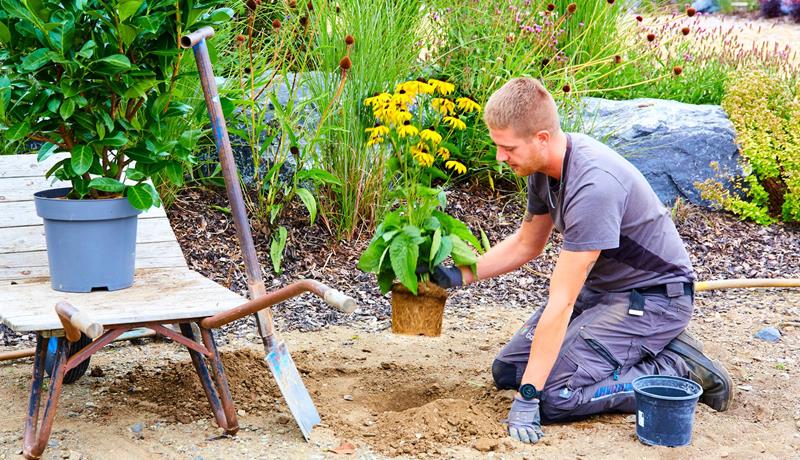 Atelier de Jardinage - Accueil