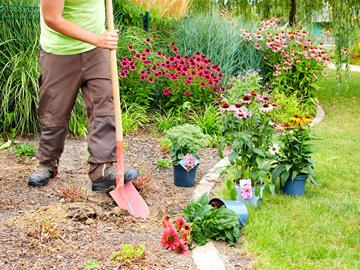 Atelier de Jardinage - Activités